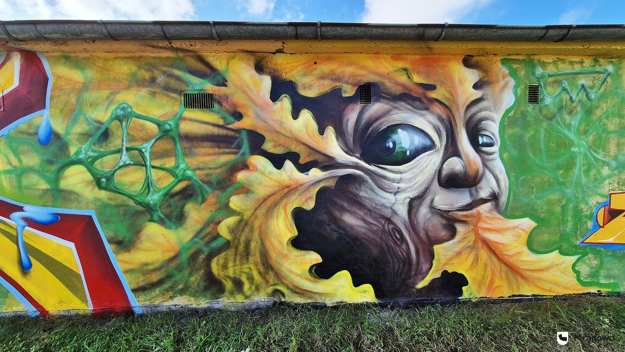 Obraz artykułu - Street artowe obrazy ozdobiły miasto! To trzeba zobaczyć [ZDJĘCIA]