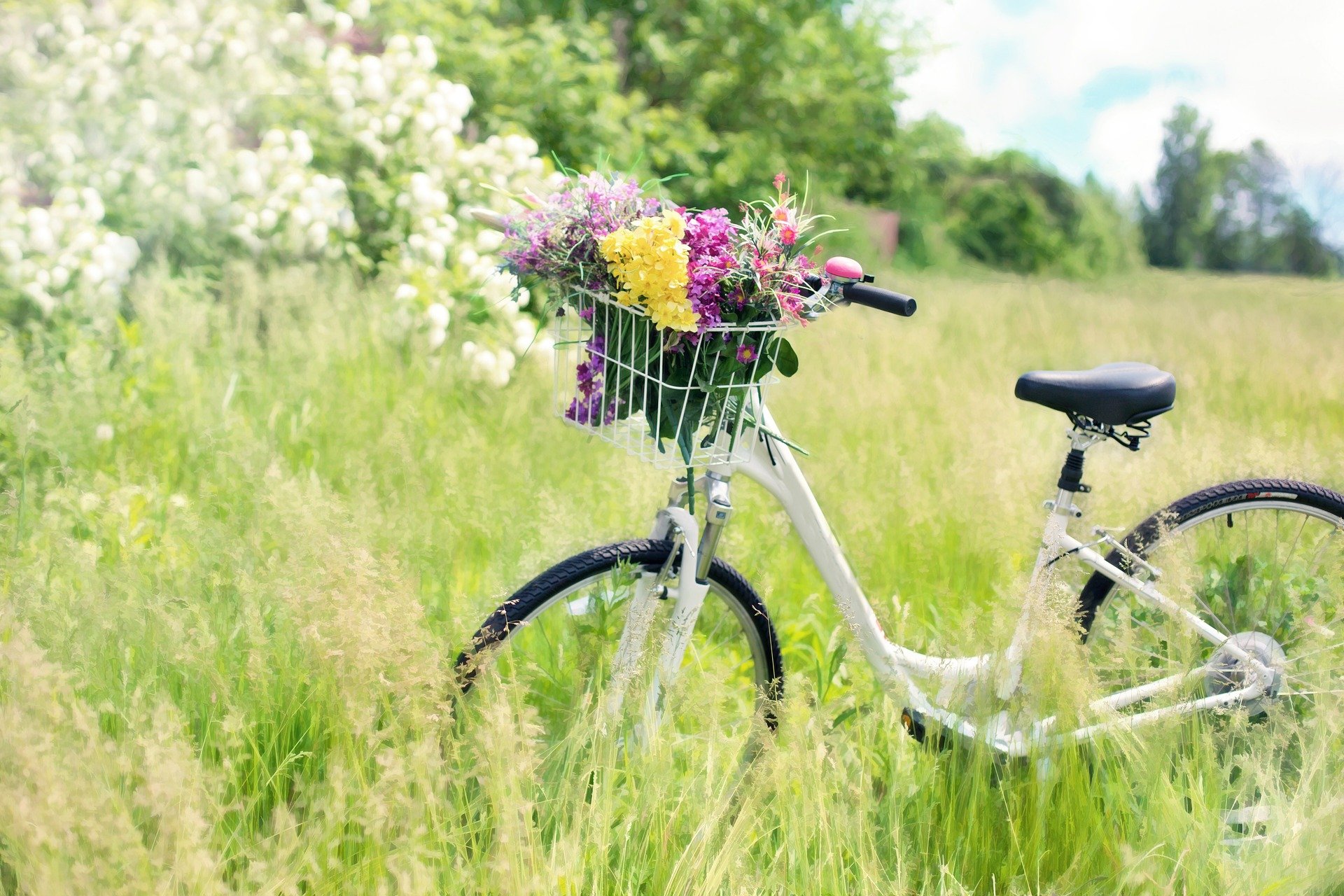 Obraz artykułu - Urlop na rowerze. Sprawdź najlepsze trasy w Mrągowie i okolicy 